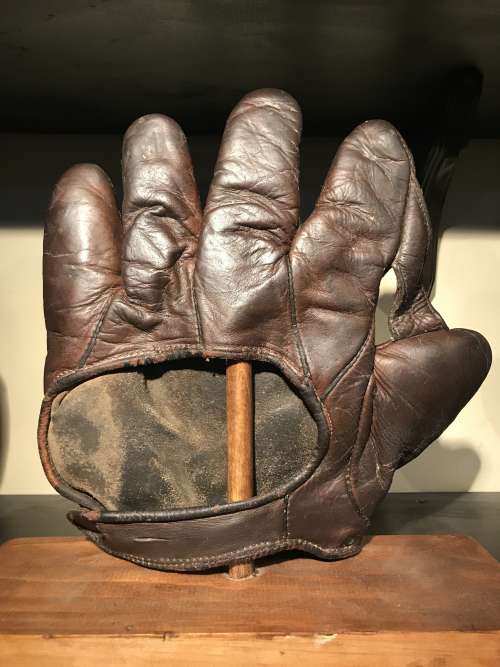 1 Inch Web Brown Back