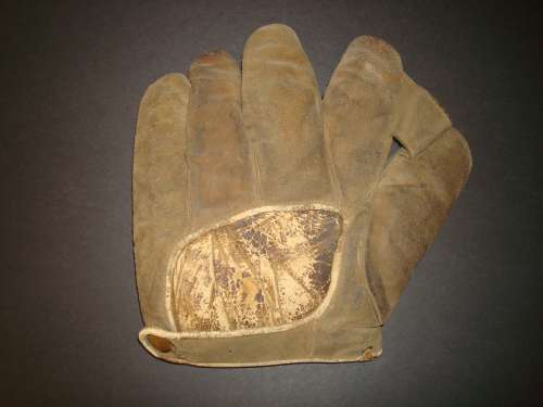 Buckskin 1 Inch Web Back