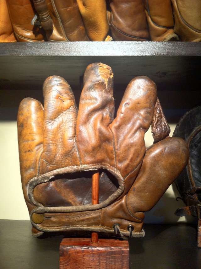 Essex 144 1 Inch Web Back