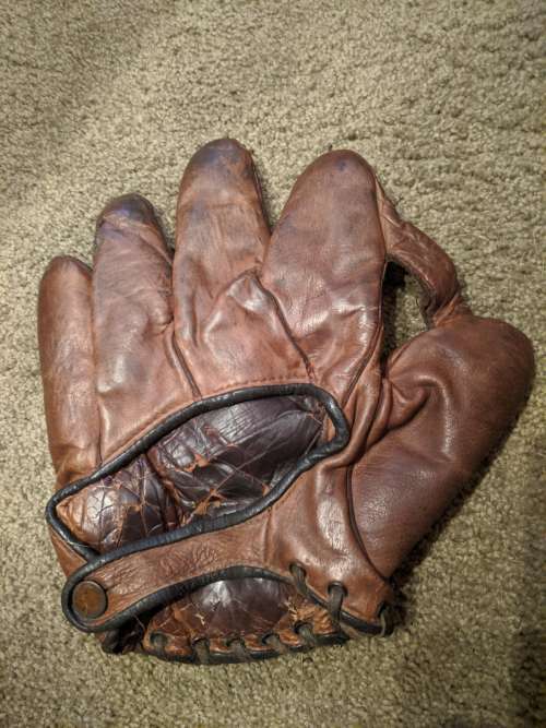 Essex Brand 144 1 Inch Web Back