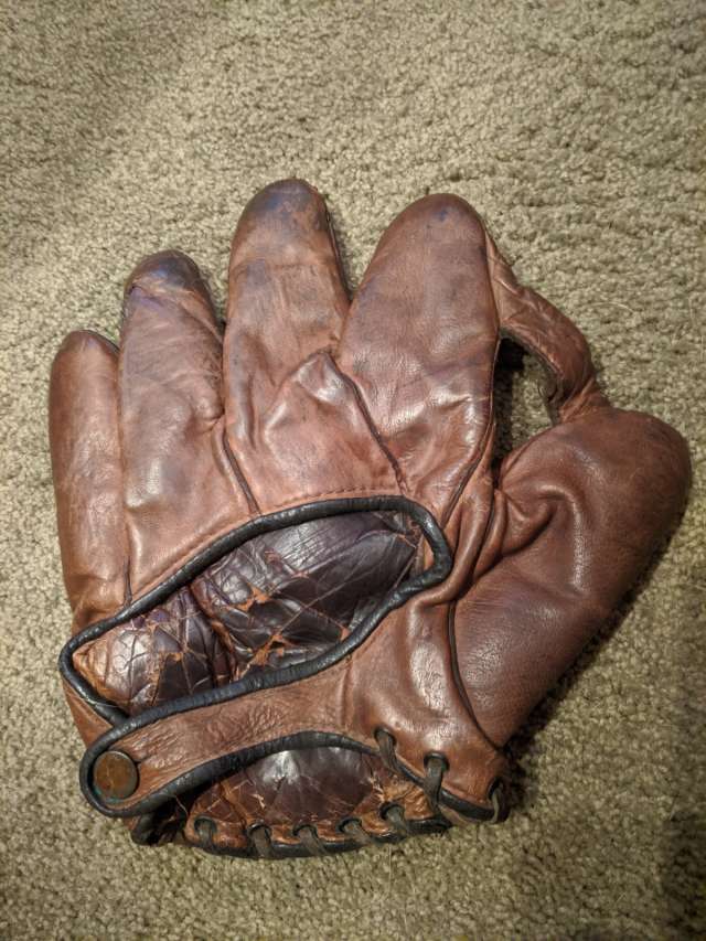 Essex Brand 144 1 Inch Web Back