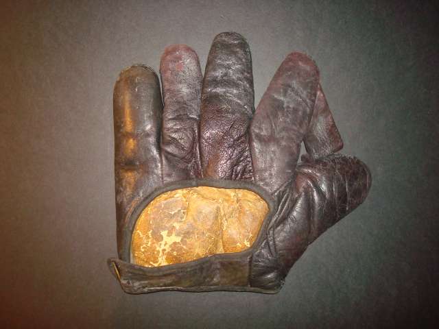 Fox D53 1 Inch Web Back