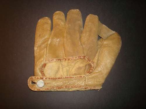 Wolverine 24 1 Inch Web Back