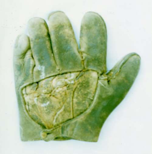 c. 1890's Webless Glove Back