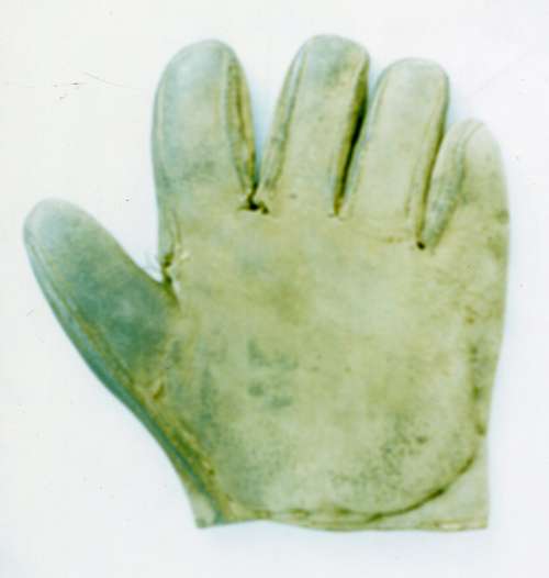 c. 1890's Webless Glove Front