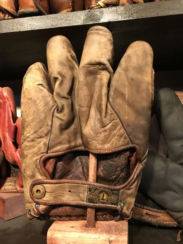 Alex Taylor 32 1 Inch Web Back