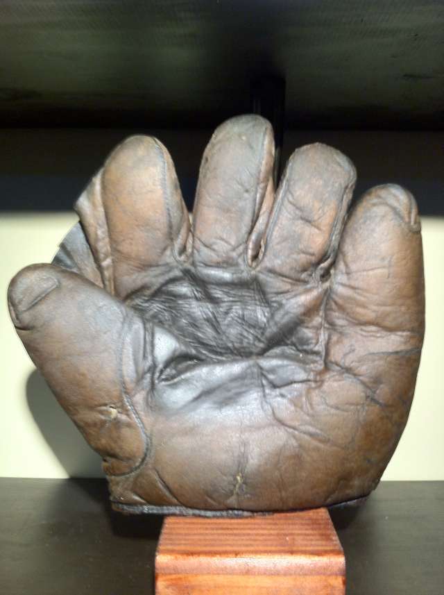 Alex Taylor Full Web Brown Front