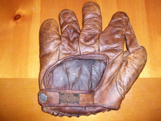 Alex Taylor S 1 Inch Web Back