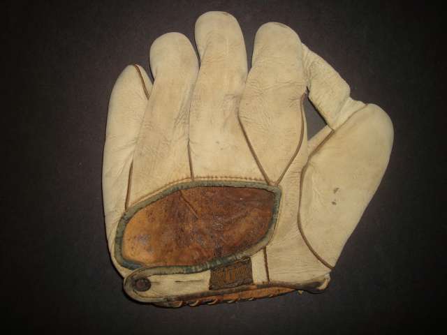 Alex Taylor White 1 Inch Web Back