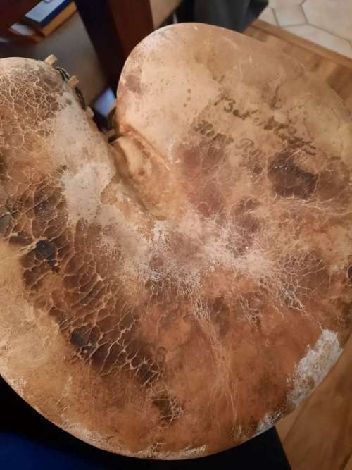 Babe Ruth Reach Home Run Special Catchers Mitt Front