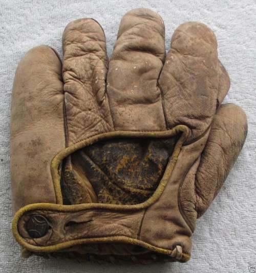 Bon Tober 1 Inch Web Brown Back