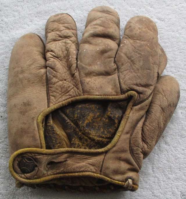 Bon Tober 1 Inch Web Brown Back