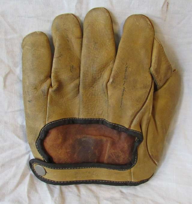 Davega 1 Inch Web Back