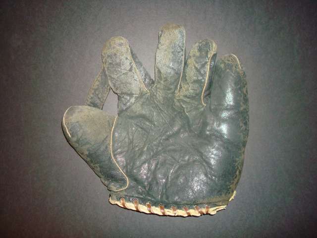 Davega 110B 1 Inch Web Front