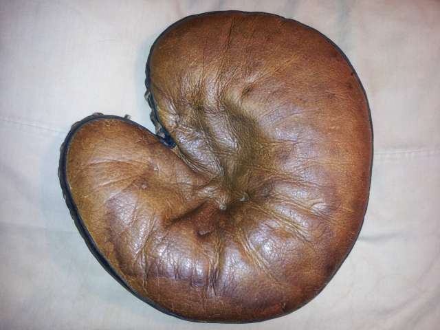 Davega Buckle Back Catchers Mitt Front