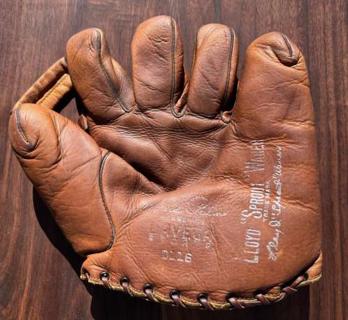 Lloyd Sprout Waner Davega D116 Front