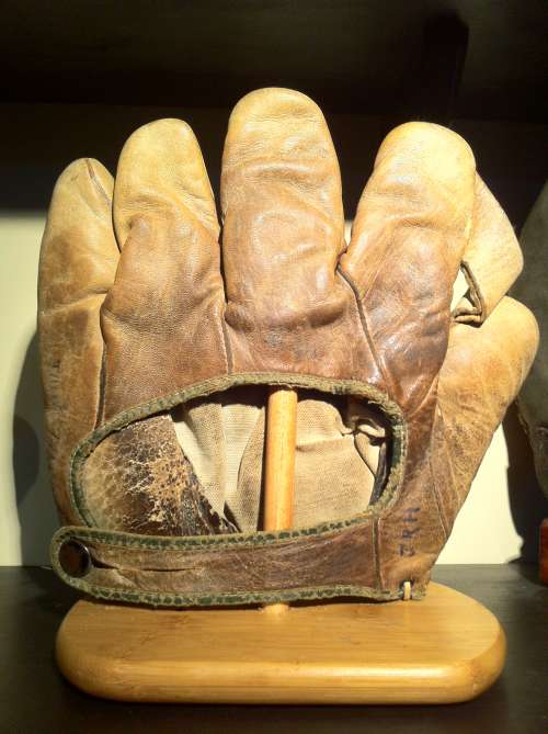 Denkert 1 Inch Web Light Brown Back