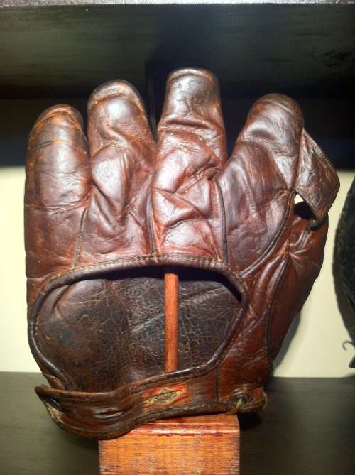 Diamond 1 Inch Web Brown Back