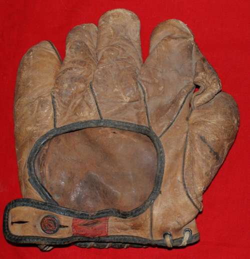 Diamond 1 Inch Web Brown Back