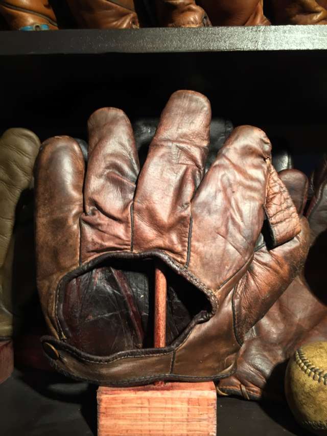 Diamond P 1 Inch Web Back