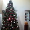 Christmas Tree 2009