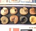 View the image: Richard Macaluso Display 1