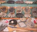 View the image: Rob Mucha Display 5