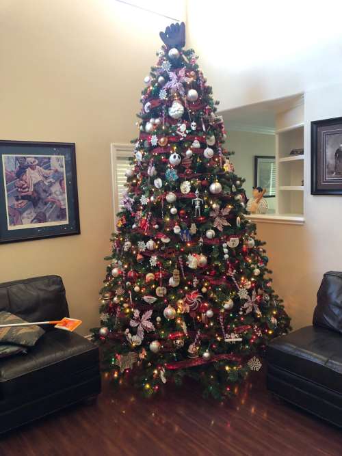 Christmas Tree 2018