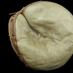 View the Album: Catchers Mitts
 41 images