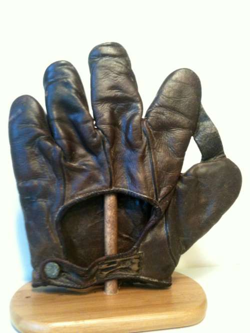 D&M 1 Inch Web Brown Back