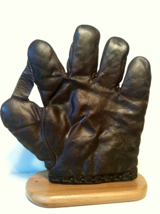 D&M 1 Inch Web Brown Back