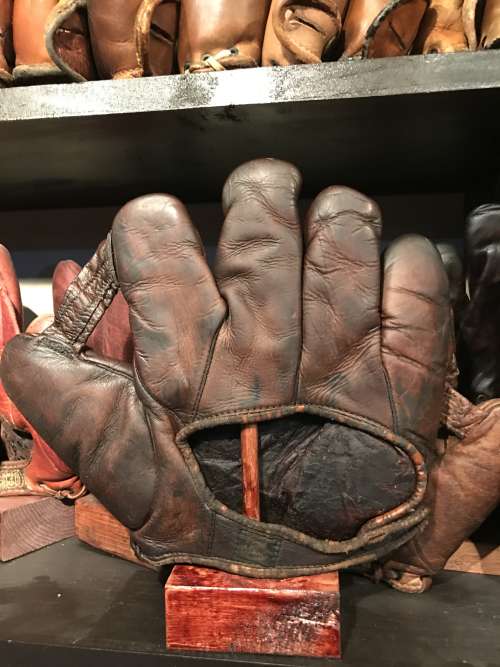 D&M 1 Inch Web Dark Brown Lefty Back