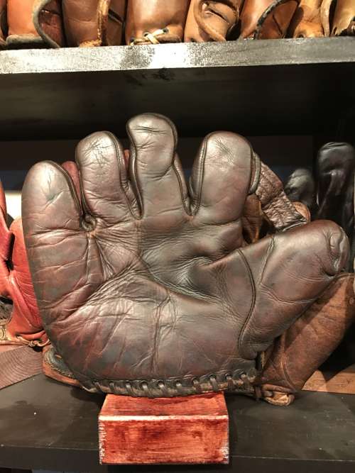 D&M 1 Inch Web Dark Brown Lefty Front