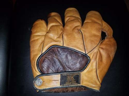 D&M 1 Inch Web Tan Back