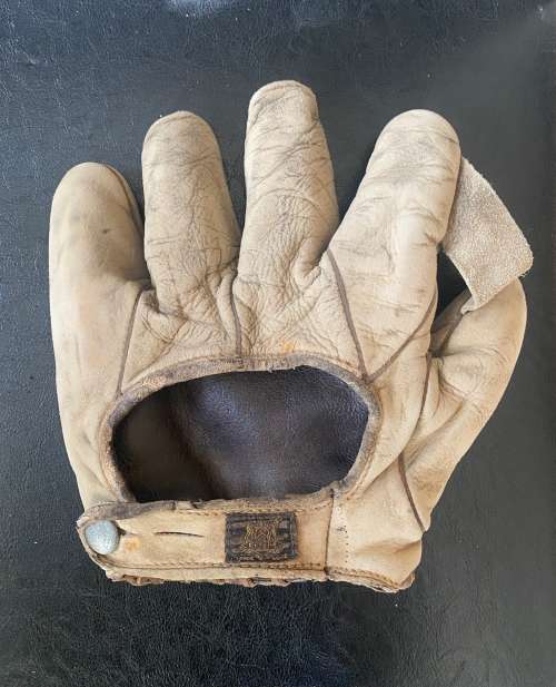 D&M 1 Inch Web White Back