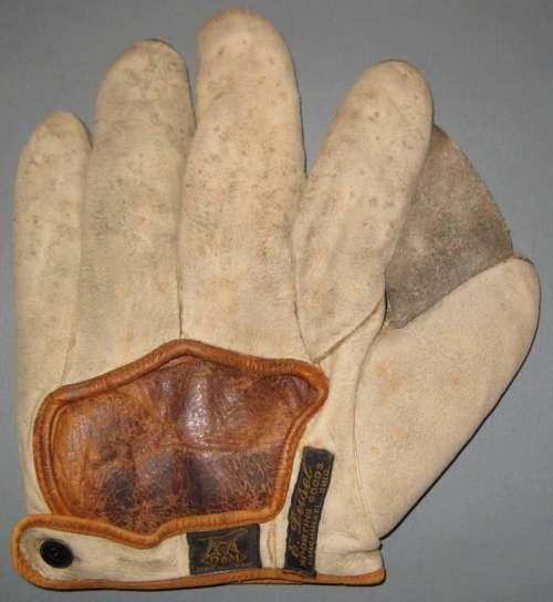 D&M Deisel Sporting Goods Full Web Back