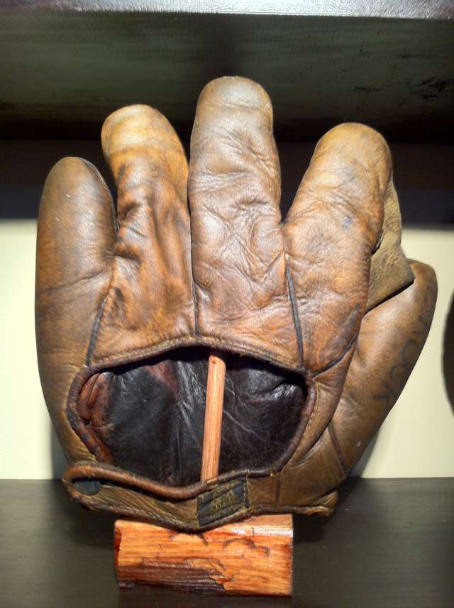 D&M Full Web Brown Back