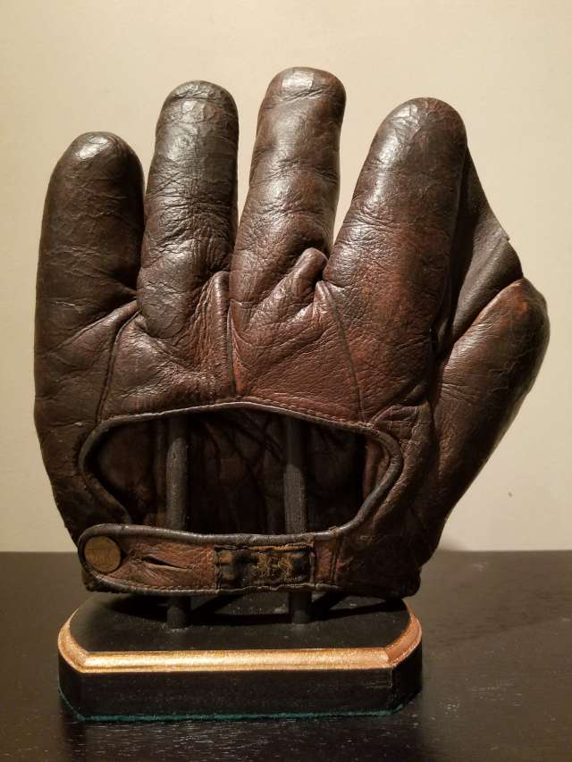 D&M Full Web Brown Back