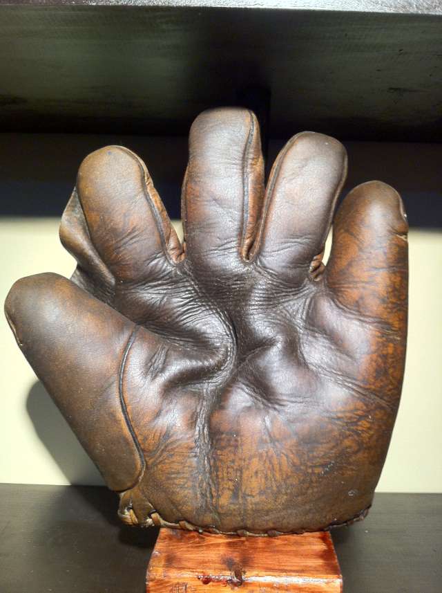 D&M Full Web Brown Front
