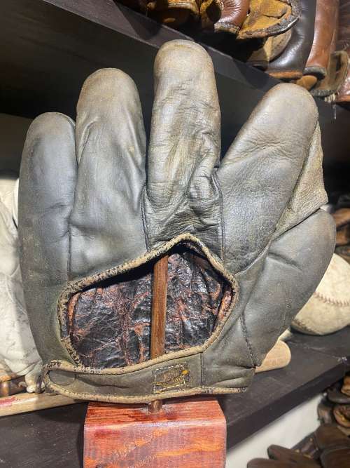 D&M Full Web Dark Back