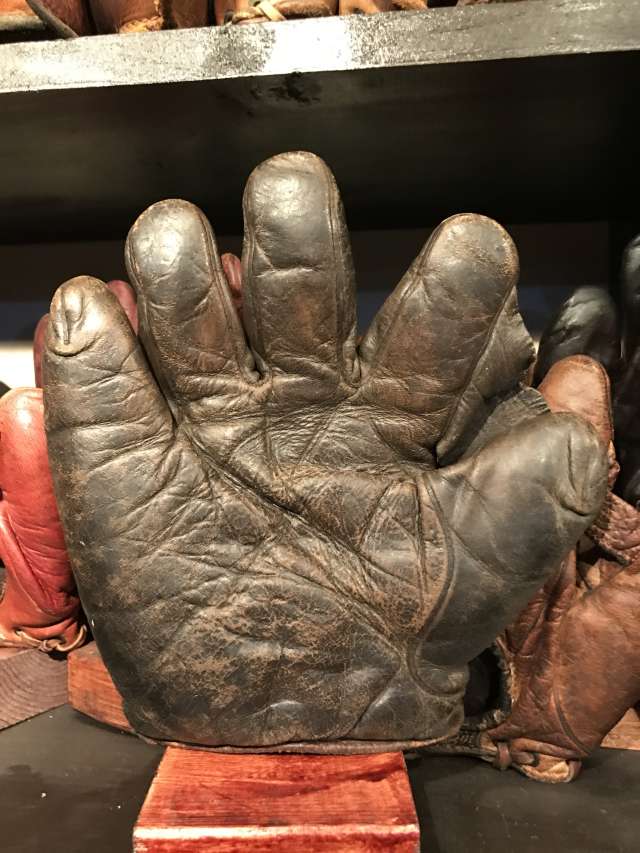 D&M Full Web Dark Brown Lefty Front