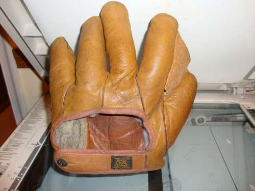 D&M Full Web Orange Back