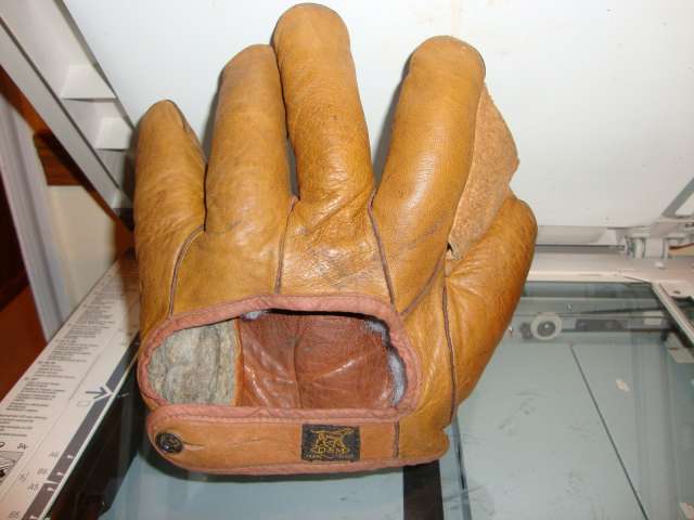 D&M Full Web Orange Back