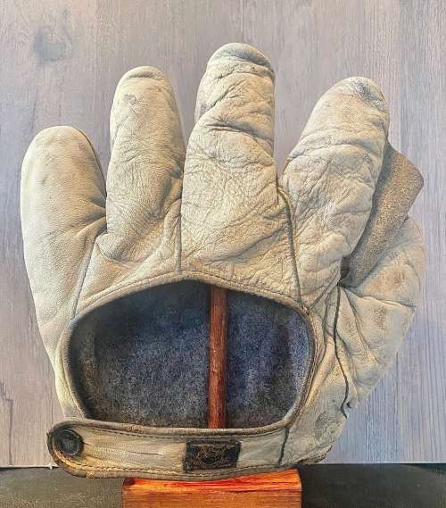 D&M Full Web White Back