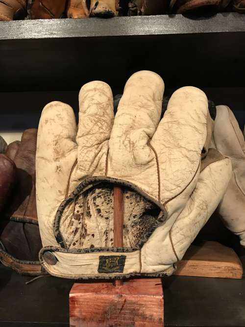 D&M Full Web White Back