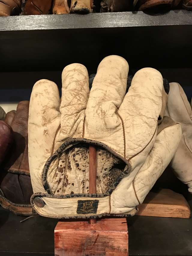 D&M Full Web White Back