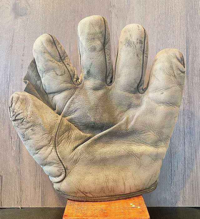 D&M Full Web White Front