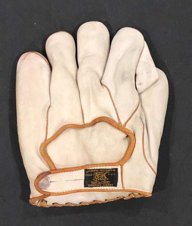 D&M G24 1 Inch Web Back