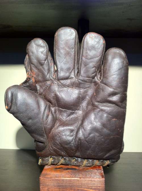 Dubow 1 Inch Web Plum Front