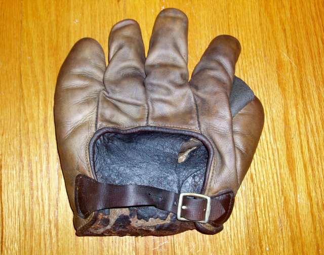 Buckle Back Full Web Brown Back